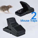 Mouse Trap, Pack Of 2